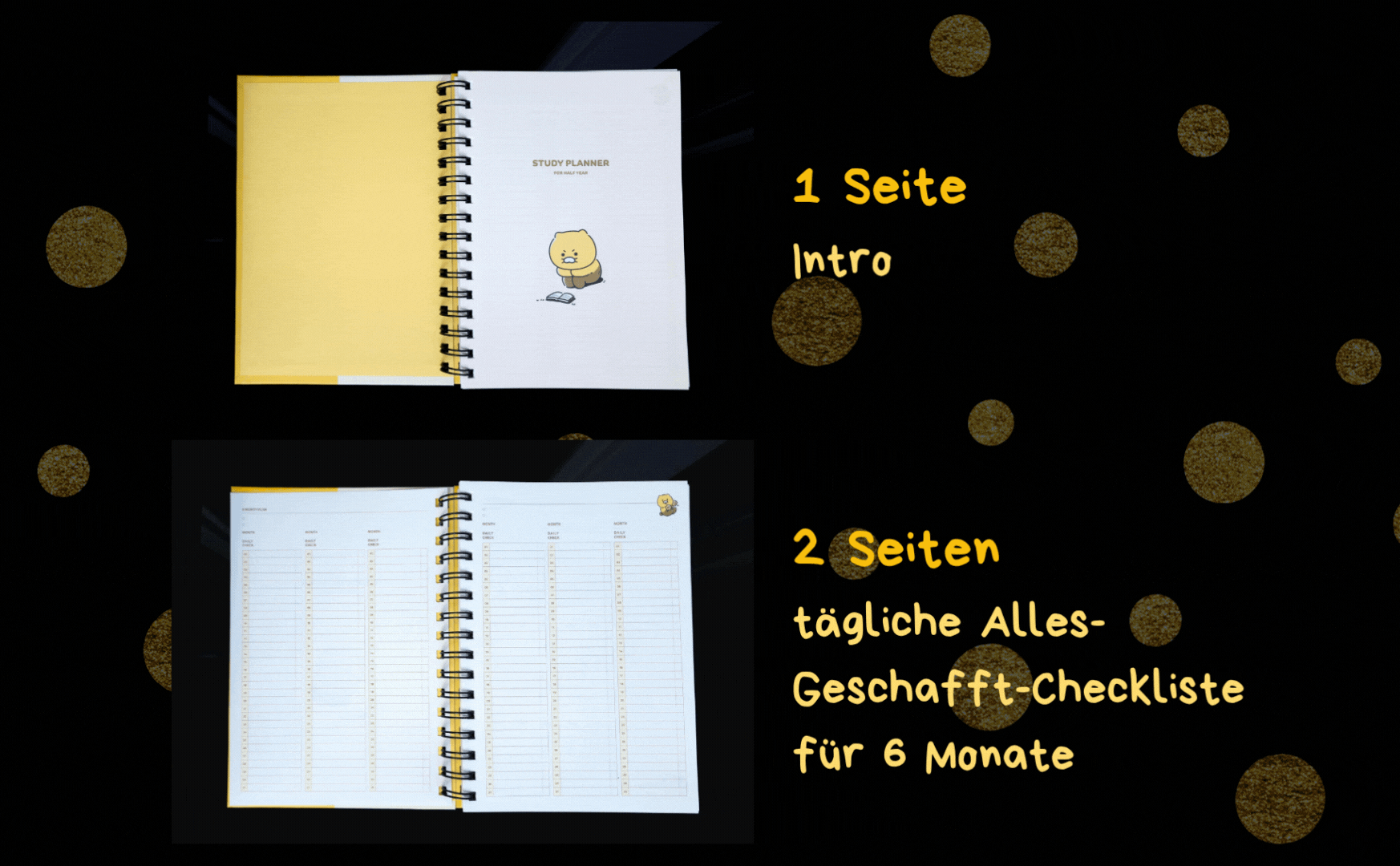 Choonsik Study Planer SALE%